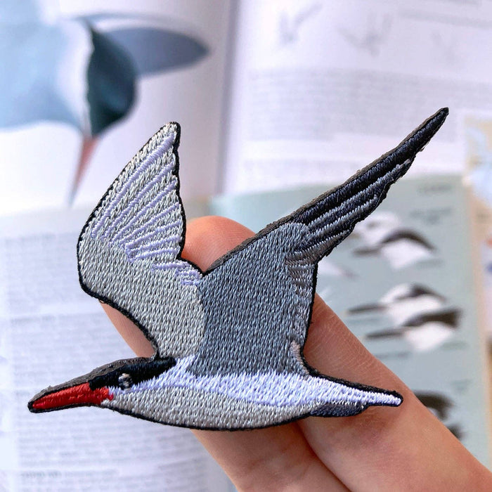 Caspian Tern Patch