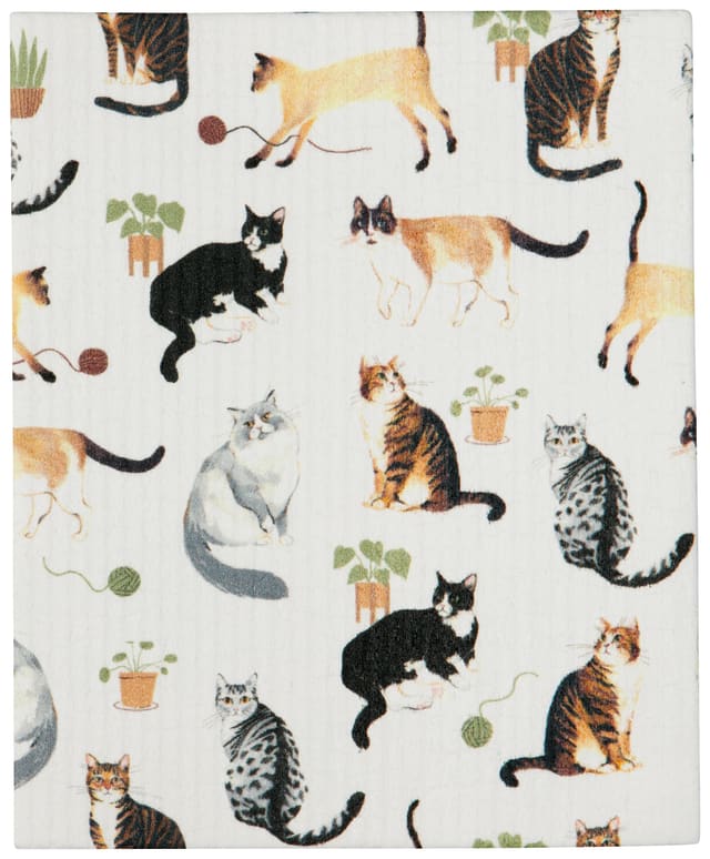 Cats