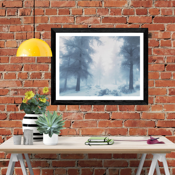 Misty Winter Forest