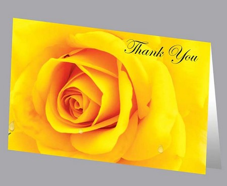 Yellow Rose Acknowledgment - ST8550-AK