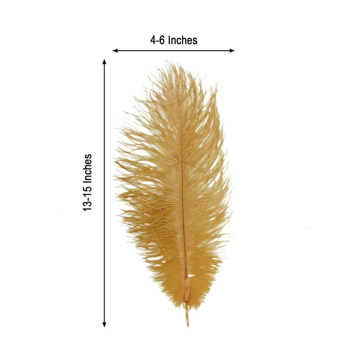 Natural decorative feather in beige, measuring 13-15 inches long and 4-6 inches wide.