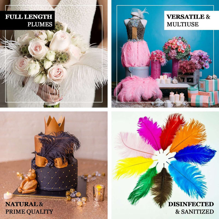 Colorful feather decorations and arrangements for various occasions.