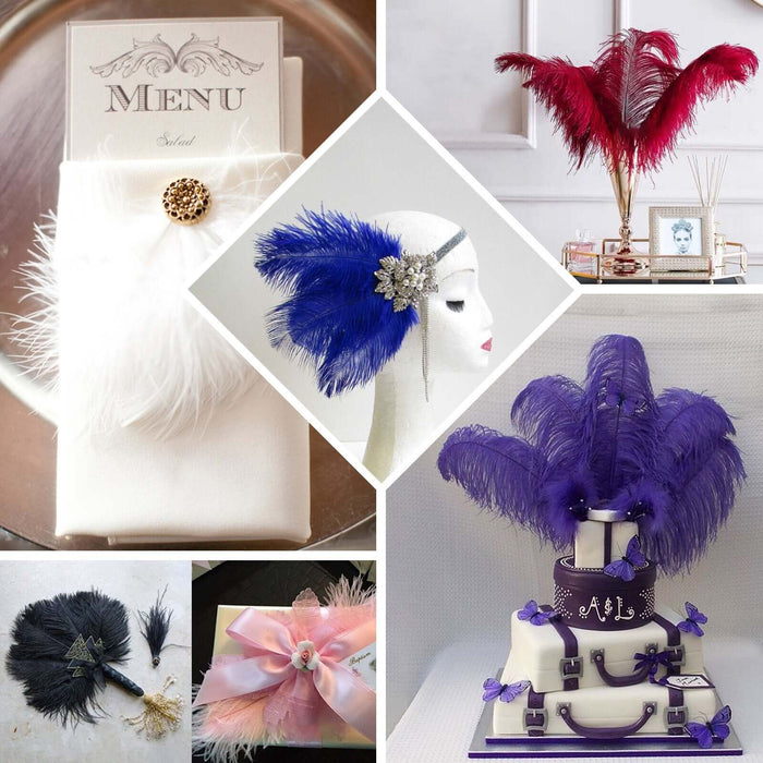 Feather accessories and decor in various styles and colors.