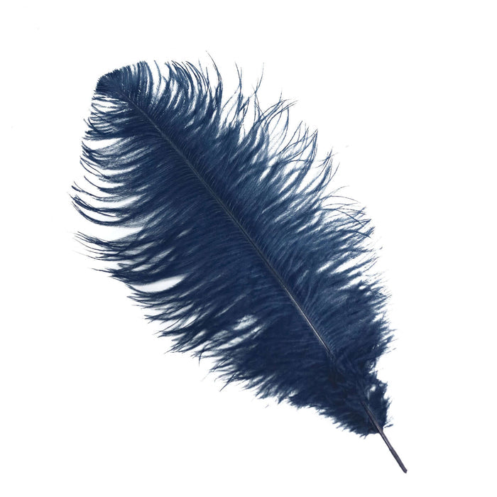 Navy blue feather on a white background