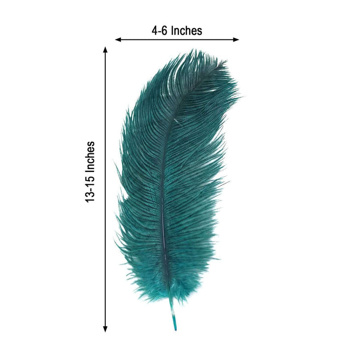 Teal feather measuring 4-6 inches wide and 13-15 inches long