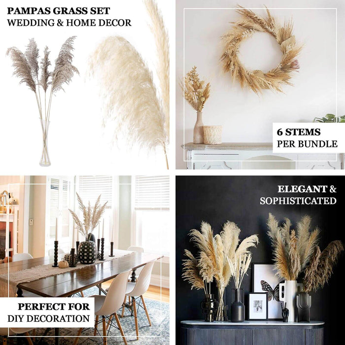 Pampas grass set for elegant home decor and DIY decoration. Perfect for weddings.