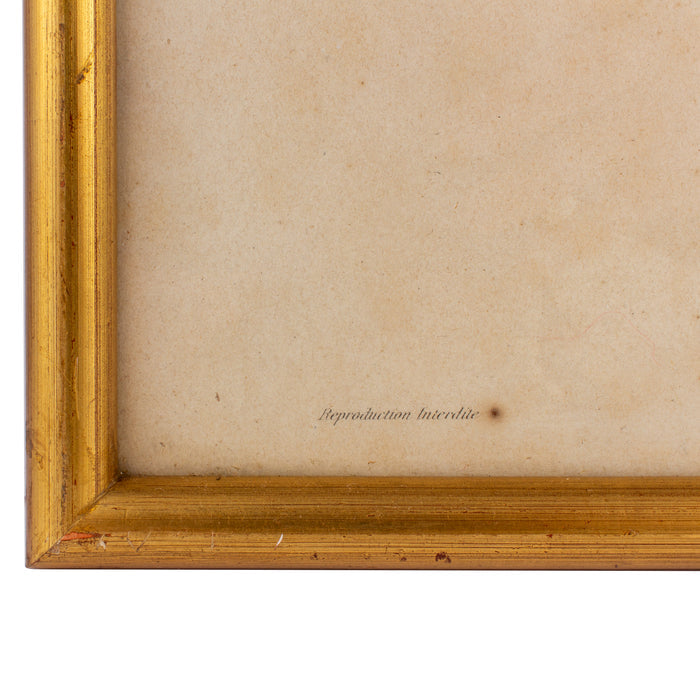 Antique French Hairstyle Fashion Print in Frame
