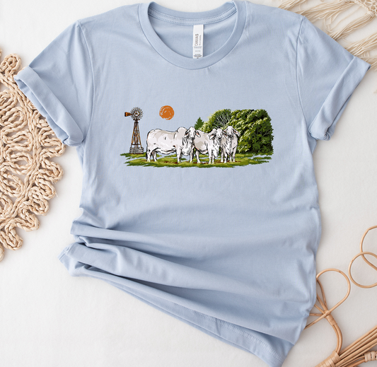 Brahman On Bermuda- Bella Canvas T-Shirt