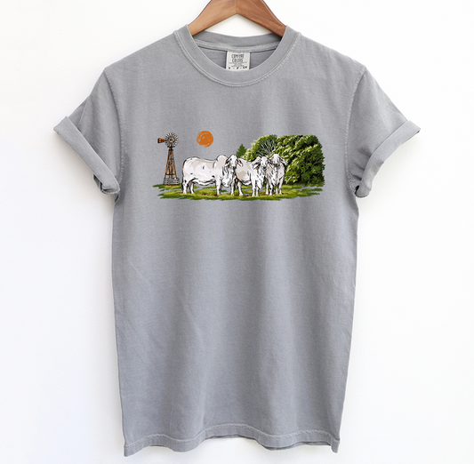 Brahman On Bermuda– Comfort Colors T-Shirt