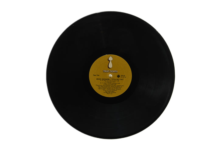 Bruce Cockburn - Stealing Fire LP Vinyl Album