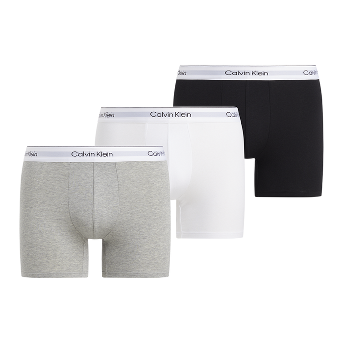Calvin Klein Icon Cotton Stretch Briefs NB4394