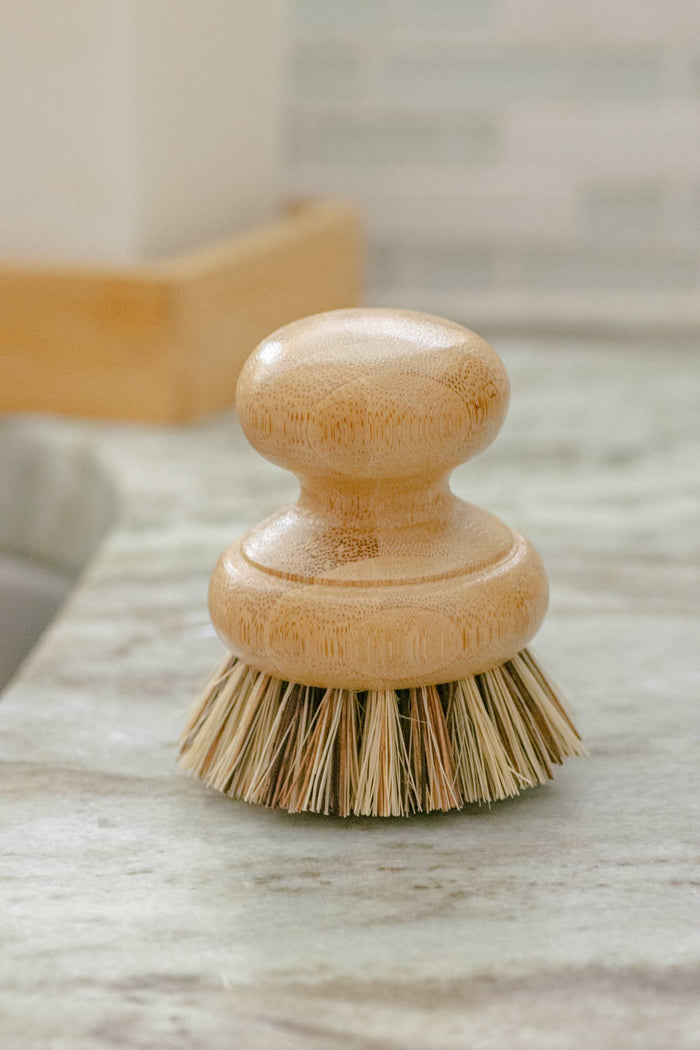 CASA AGAVE® Pot Scrubber Brush