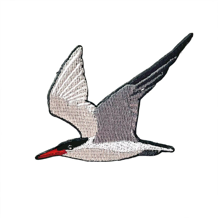 Caspian Tern Patch
