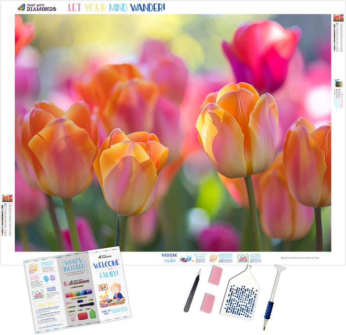Dancing Tulips