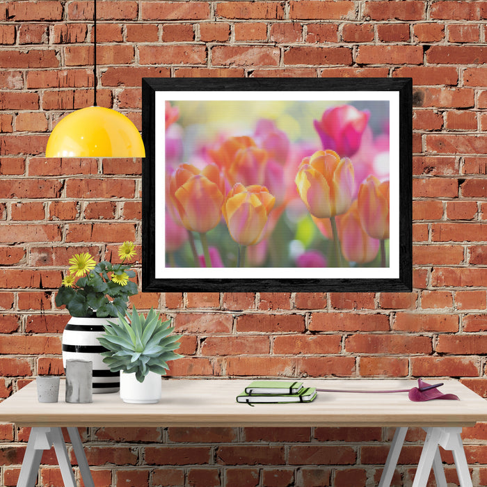 Dancing Tulips