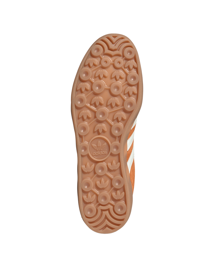Gazelle Indoor