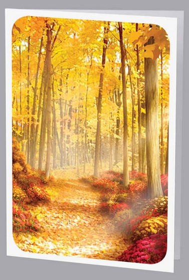 Golden Forest Acknowledgment - ST8580-AK