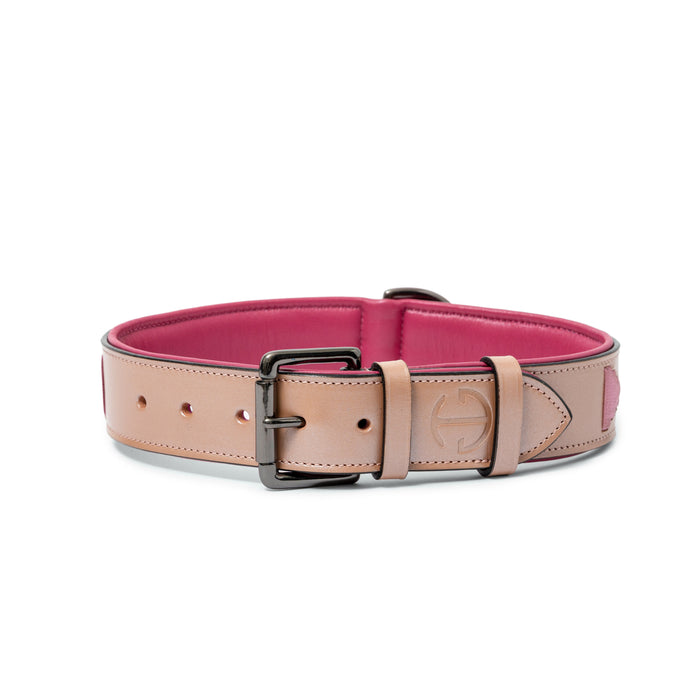 Halter Ego Rosé Lumière Leather Dog Collar - Equiluxe Tack