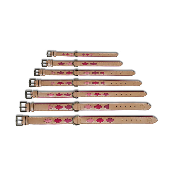 Halter Ego Rosé Lumière Leather Dog Collar - Equiluxe Tack