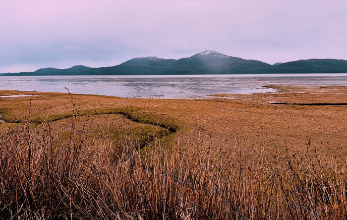 Hartney Bay in May