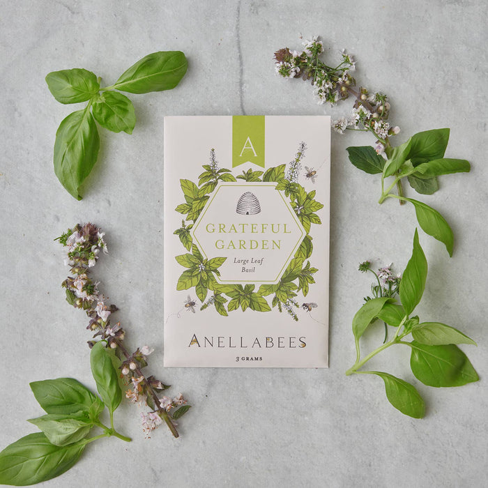 Large Leaf Basil Garden Seeds