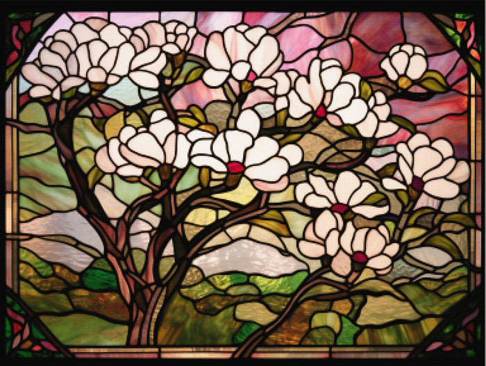 Magnolia Elegance