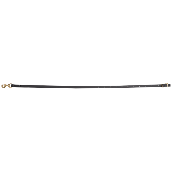 Martin Saddlery Biothane Tie Down Strap