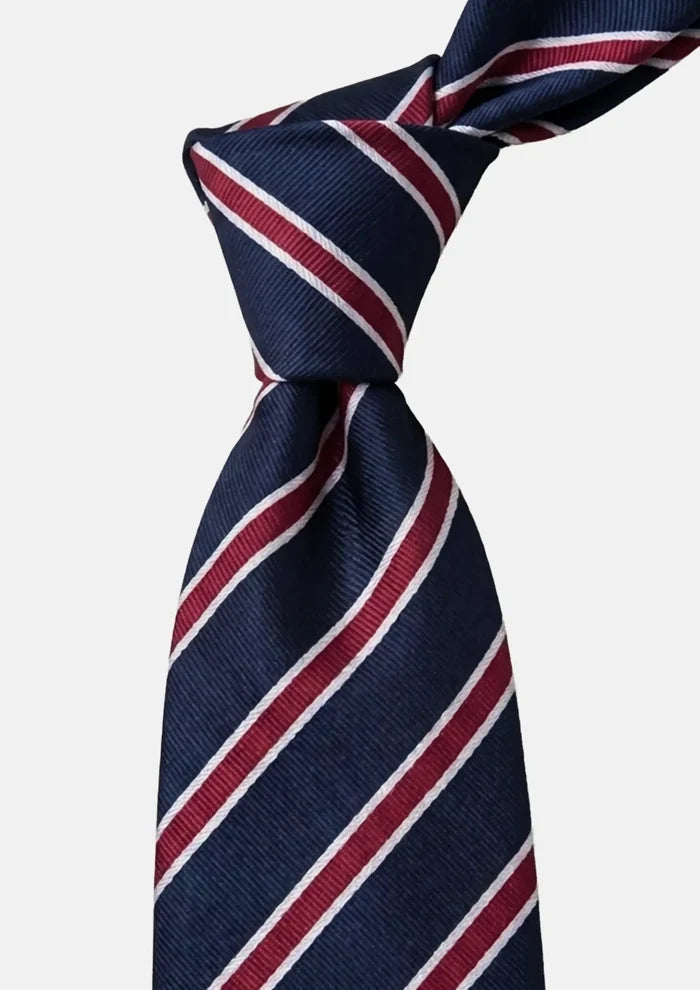 Navy Red Bordered Stripe Tie - SARTORO