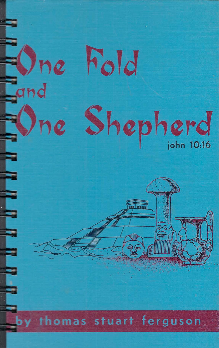 One Fold and One Shepherd / john 10:16