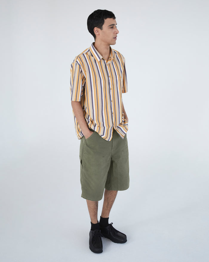 Painter Short Olive