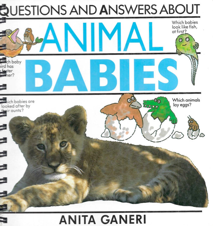 Questions and Answers / Animal Babies