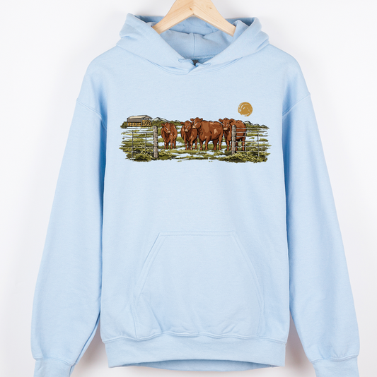 Red Angus On The Pasture– Hoodie