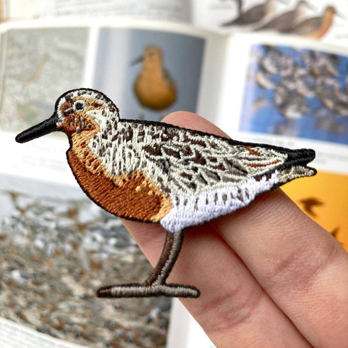 Red Knot Patch