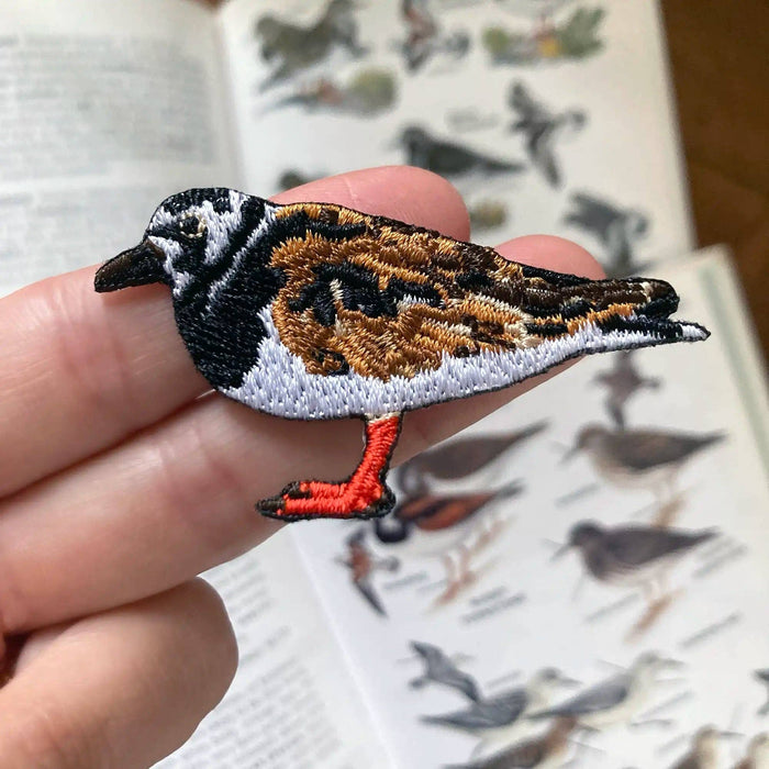 Ruddy Turnstone Patch