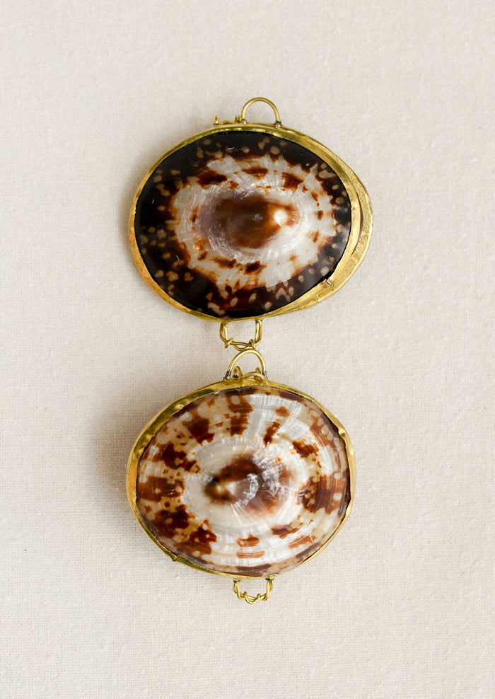 Decorative brown limpet shell trinket boxes.