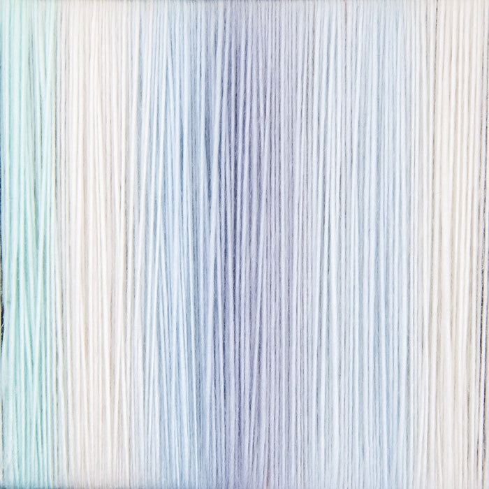 The Dreamer Afghan