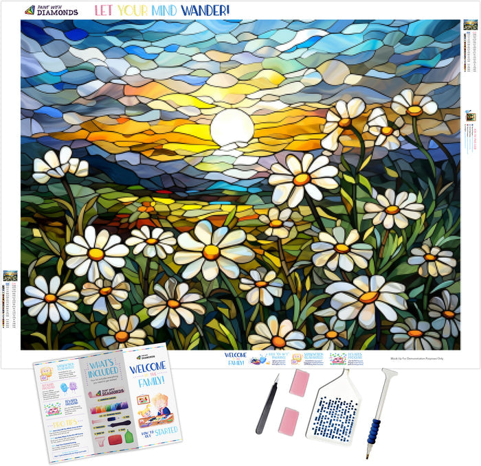 White and Yellow Daisies
