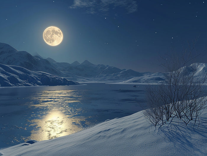 Winter Night in the Wilderness