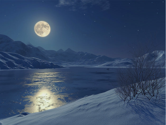 Winter Night in the Wilderness